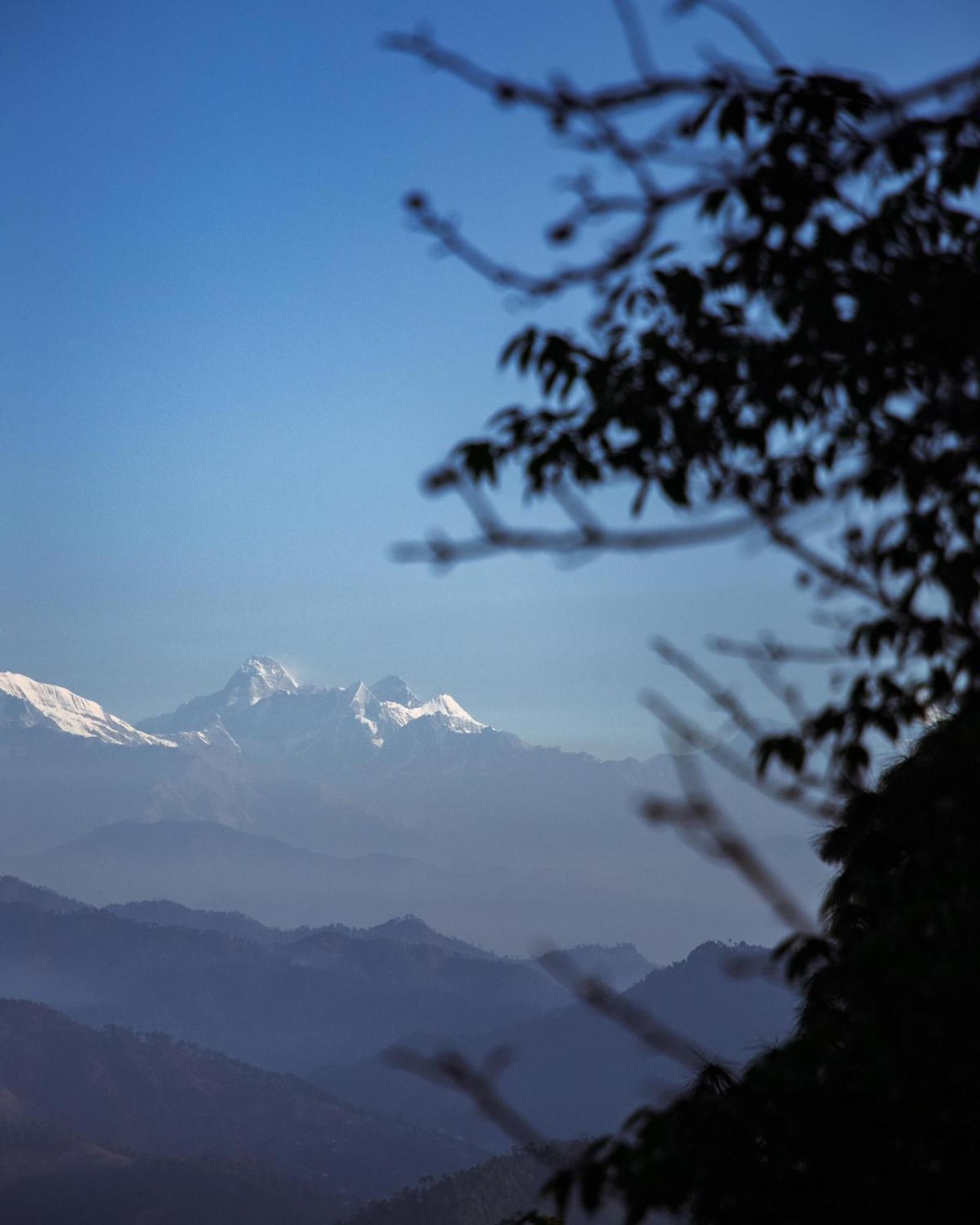Kasar Himalaya Holiday Resort, Binsar Rd Almora Luaran gambar